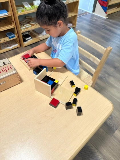 montessori kids academy of windermere
