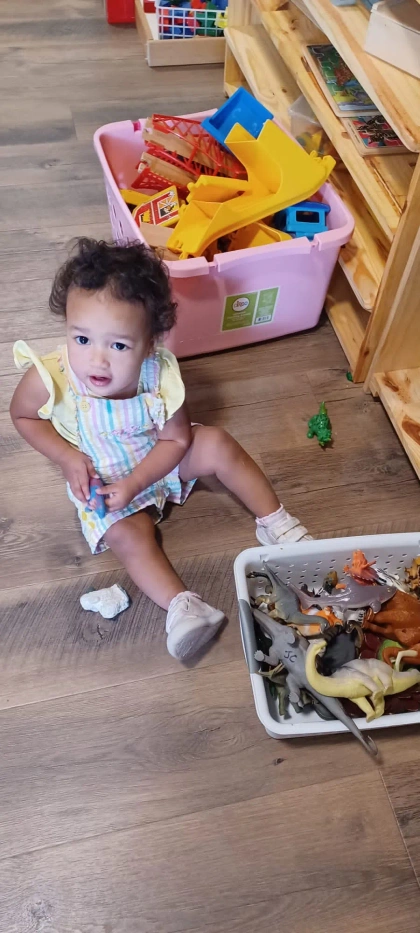 montessori kids academy of windermere