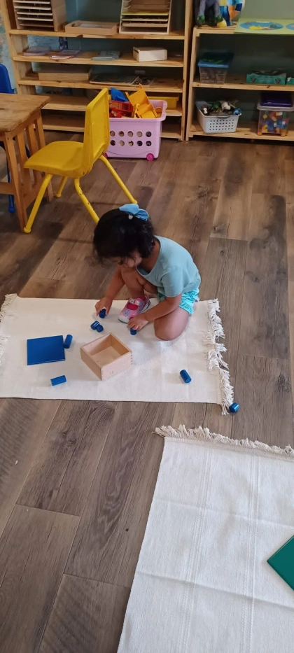 montessori kids academy of windermere