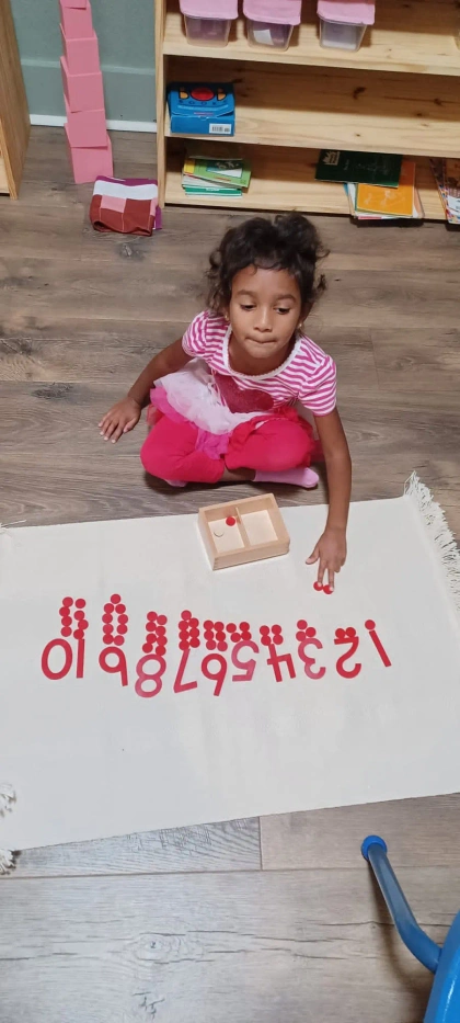 montessori kids academy of windermere