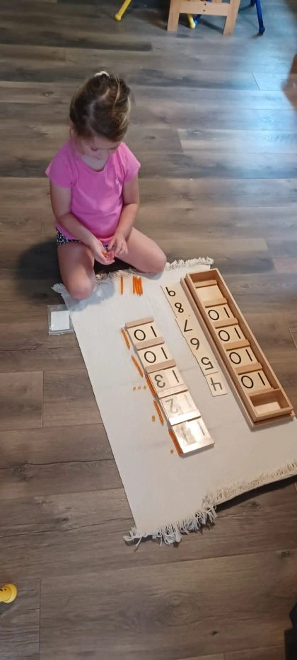 montessori kids academy of windermere