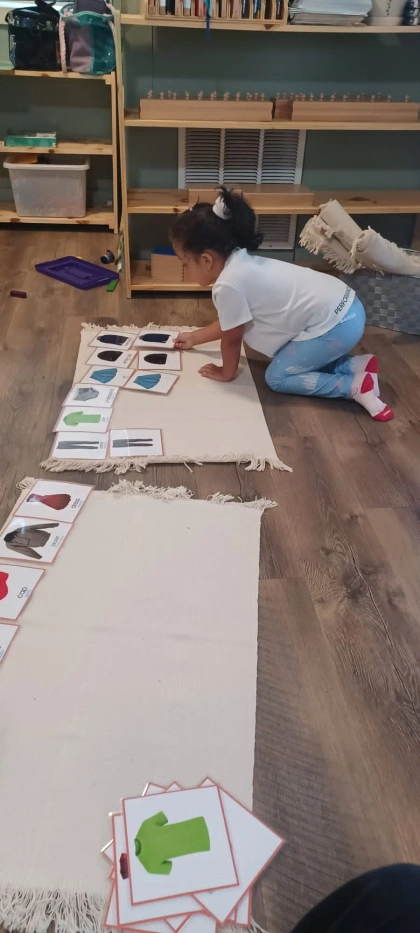 montessori kids academy of windermere