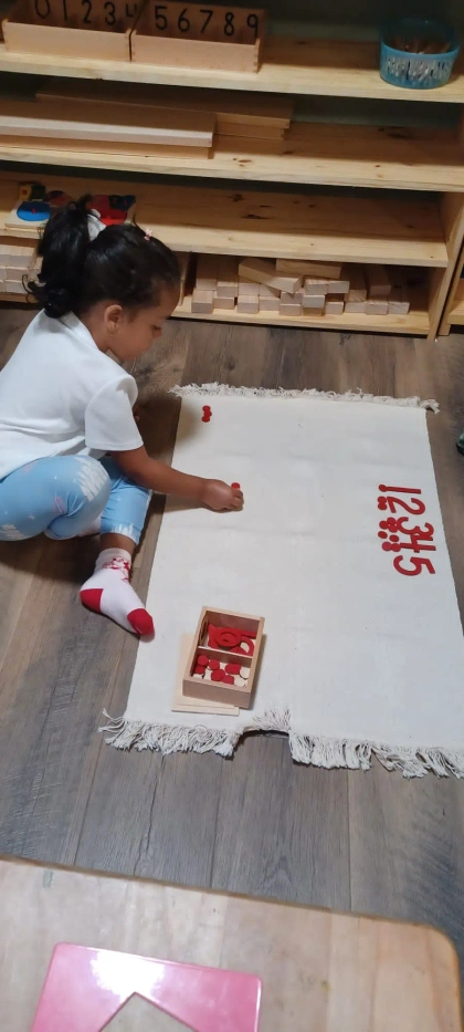 montessori kids academy of windermere