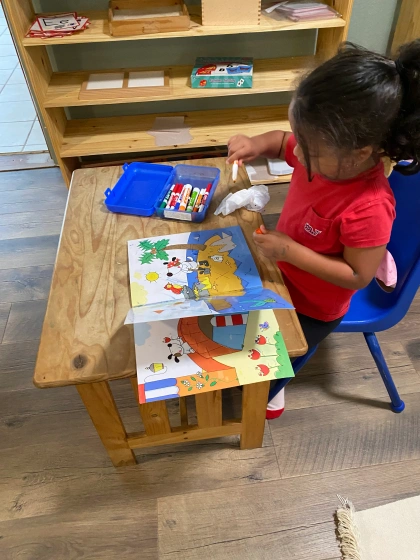 montessori kids academy of windermere