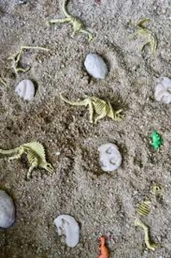 Dinosaur dig in sand